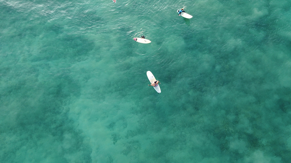 Ariel Photographs - aerial shot over surfers sitting on their boards with turquoise waters below them